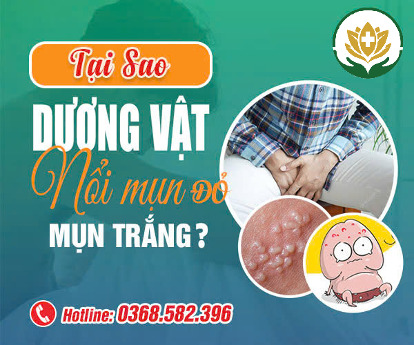 dương vật nổi mụn là bệnh gì