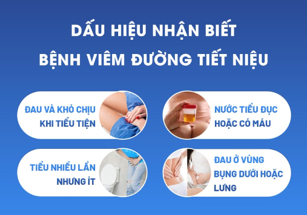 dấu hiệu viêm đường tiết niệu