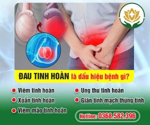 đau tinh hoàn là bệnh gì